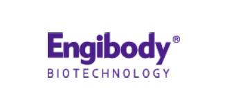 Engibody